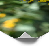 黄色デイジー花フローラ自然撮影 ポスター (角)