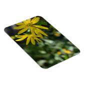 黄色デイジー花フローラ自然撮影 マグネット (右側)