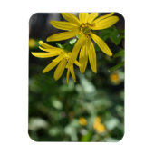 黄色デイジー花フローラ自然撮影 マグネット (縦)