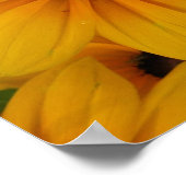 黄色デイジー ポスター (角)