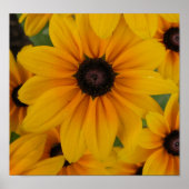 黄色デイジー ポスター (正面)