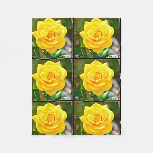 黄色バラのフリースブランケット フリースブランケット (正面)