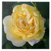 黄色バラの花 タイル (正面)