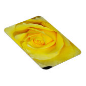 黄色バラフローラ磁石 マグネット (右側)