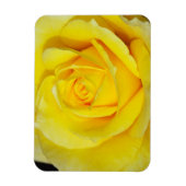 黄色バラフローラ磁石 マグネット (縦)