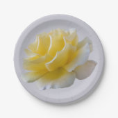 黄色バラ花びら ペーパープレート (正面)