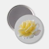 黄色バラ花びら マグネット (正面/裏面)