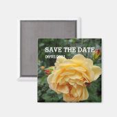 黄色バラ花磁石 マグネット (正面/裏面)