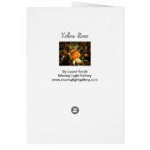 黄色バラ (裏面)