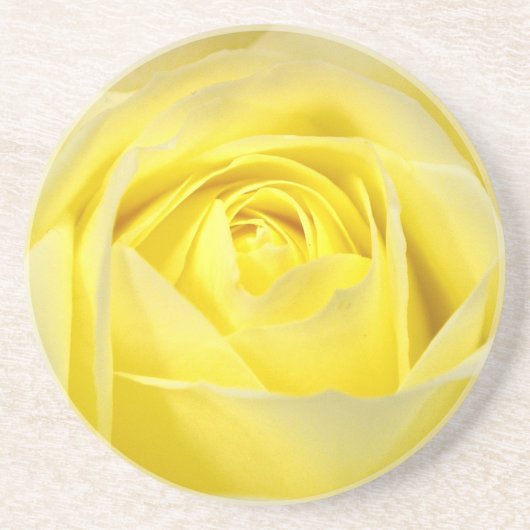 黄色バラ コースター (正面)