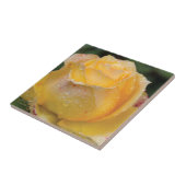 黄色バラ-セラミックタイルの結露 タイル (側面)