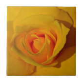 黄色バラ タイル (正面)