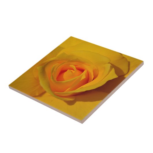 黄色バラ タイル (側面)