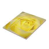 黄色バラ タイル (側面)