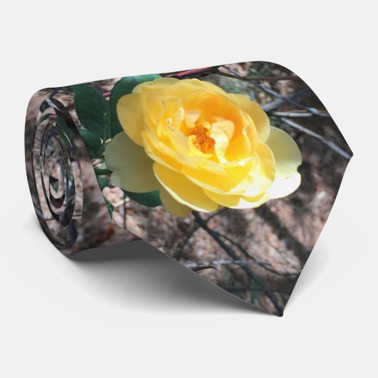 黄色バラ ネクタイ (ロール)