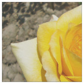 黄色バラ ファブリック (クローズアップ)