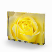 黄色バラ フォトブロック (右)