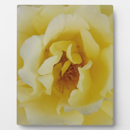 黄色バラ フォトプラーク