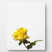黄色バラ フォトプラーク (正面)