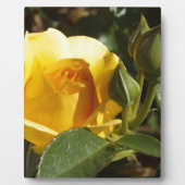 黄色バラ フォトプラーク (正面)