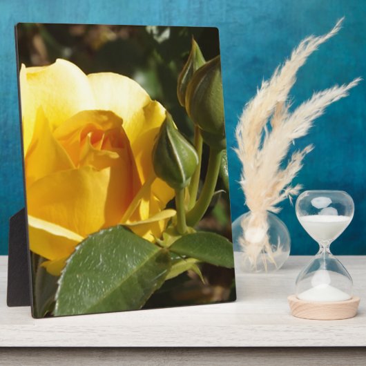 黄色バラ フォトプラーク (側面)