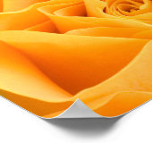 黄色バラ ポスター (角)