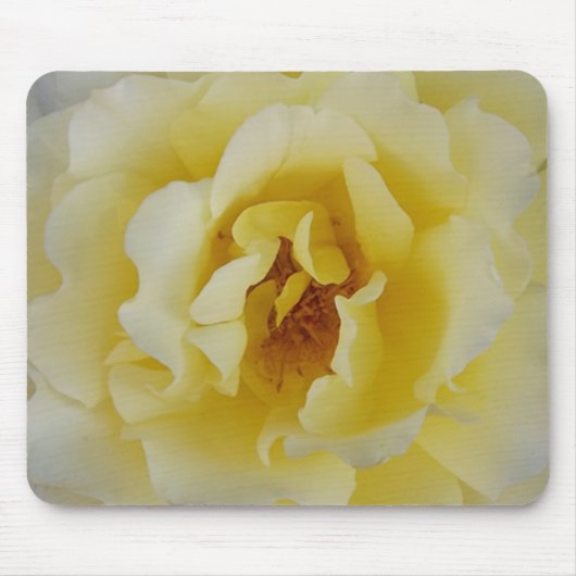 黄色バラ マウスパッド (正面)