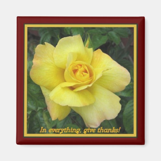 黄色バラ マグネット (正面)