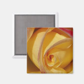 黄色バラ マグネット (正面/裏面)