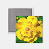 黄色バラ マグネット (正面/裏面)