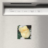 黄色バラ マグネット (インサイチュ (食洗機))