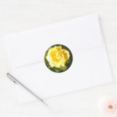 黄色バラ ラウンドシール (封筒)