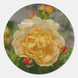黄色バラ ラウンドシール
