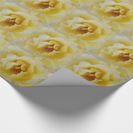 黄色バラ ラッピングペーパー (角)