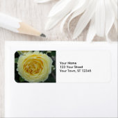 黄色バラ ラベル (インサイチュ)
