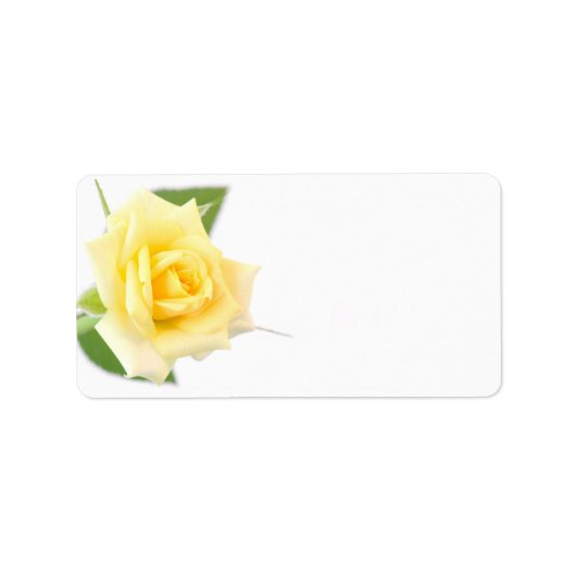 黄色バラ ラベル (正面)