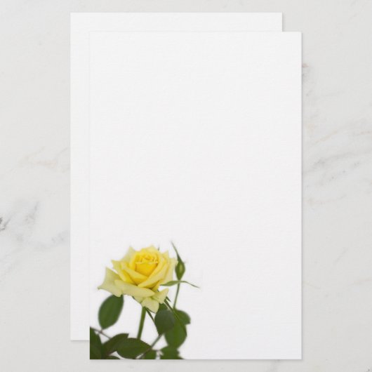 黄色バラ 便箋 (正面/裏面)