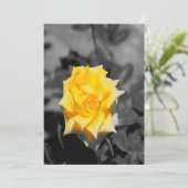 黄色バラ 招待状 (スタンド正面)