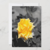 黄色バラ 招待状 (裏面)