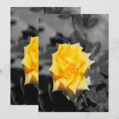 黄色バラ 招待状 (正面/裏面)