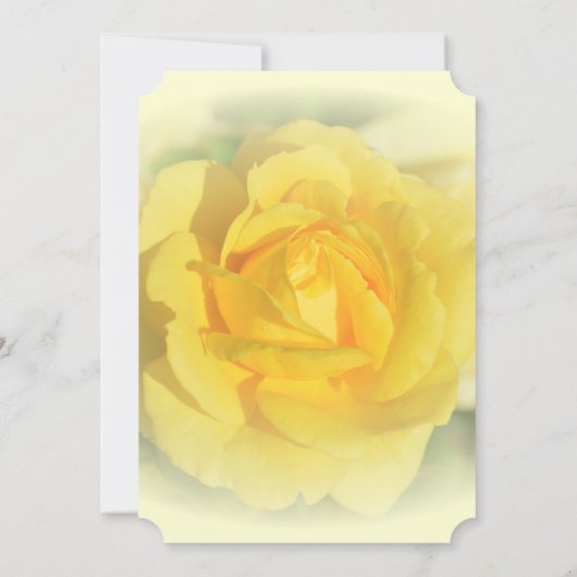 黄色バラ 招待状 (裏面)