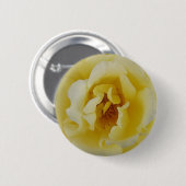 黄色バラ 缶バッジ (正面&裏面)