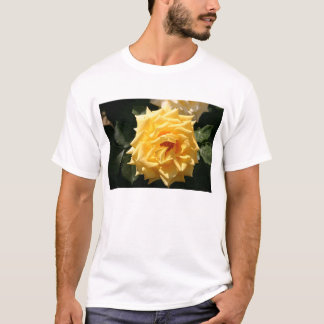 黄色バラ Tシャツ