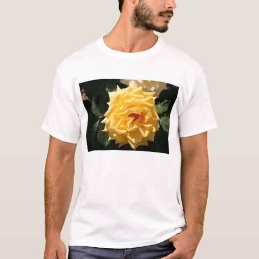黄色バラ Tシャツ (正面)
