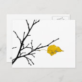 黄色ライムの木の葉 ポストカード (正面/裏面)