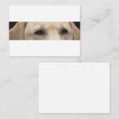 黄色ラブの目 ノートカード (正面/裏面)