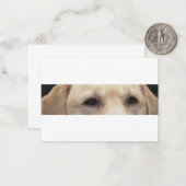 黄色ラブの目 ノートカード (正面/裏面インサイチュ)