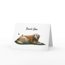 黄色ラブラドール混成犬サンキューカード