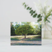 黄色レンガ道路2はがき ポストカード (スタンド正面)