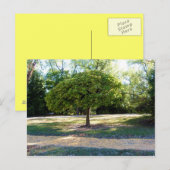 黄色レンガ道路2はがき ポストカード (正面/裏面)